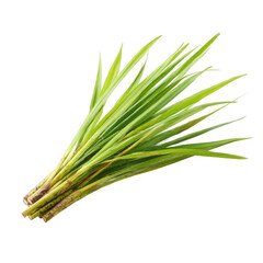 lemon grass Isolated [Transparent Background PNG]