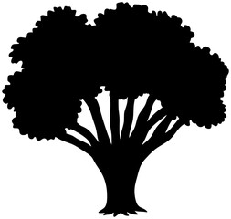 Mahogany Tree Silhouette Vector Shadow Illustration