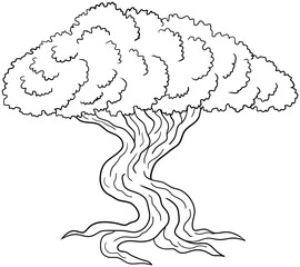Divi Divi Tree Vector Outline Line Art Drawing