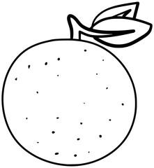 Curacao Orange Vector Outline Line Art Drawing