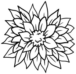 Fancy Tropical Flower Vector Outline Line Art Drawing
