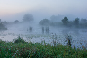 misty morning on the river with reed and grass