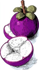 Hand-drawn mangosteen fruit, whole and halved