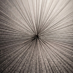 Abstract Focus Lines Illustration. Abstract and Faint Radial Lines Emanating from the Center. Design, Background, Minimal, Focus, Website, Simple.
