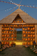 Many different orange pumpkins arranged in the shape of a house. Beautifully illuminated in the...