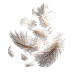 Obraz premium A cluster of delicate, white feathers, loosely arranged in a dynamic, abstract shape against a plain black background. Feathers are various sizes and forms, some slightly overlapping