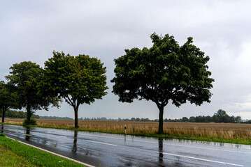 Regennasse Landschaft