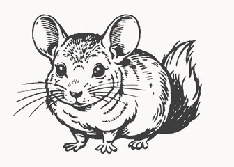 Fototapeta premium Sweet Cartoon Squirrel Animal Character Isolated Illustration for Stickers ,Friendly Squirrel Cartoon Character with Soft black Colors