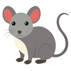 Pygmy Mouse
