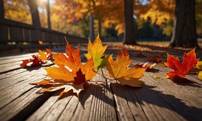 Autumn leaves scattered on wooden deck in golden sunlight  
