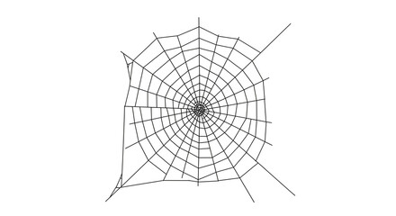 Obraz premium A detailed, symmetrical spiderweb illustration isolated on a white background. A graphic representation of a natural trap, network, or Halloween symbol.