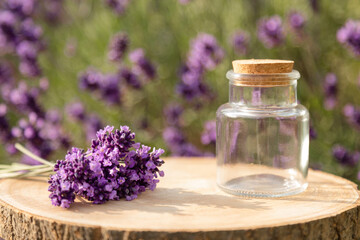 Bouquet of lavender on stump. Glass jar with cork and lavender. Lavender bushes. Lavender background