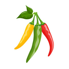 colorful, realistic set of hot chili peppers, on a white background. Red, yellow and green.