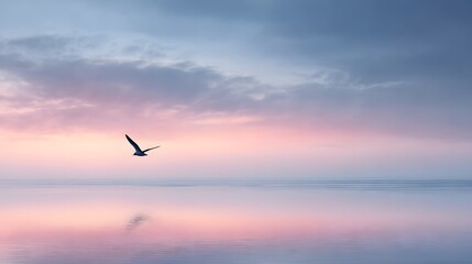 Obraz premium Single bird flying across an expansive sky over a reflective lake