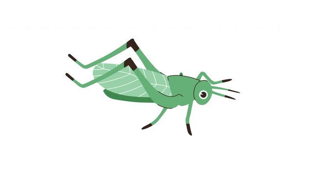 Illustrated Grasshopper Animation Demonstrating Movement Across Different Frames In A White Background Setting