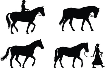 Silhouette, horse, rider, walking, training, equestrian, black, white, vector, illustration, reins, lead, animal, person, hat, motion, graceful, minimal, concept, stock, design