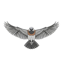 Naklejka premium Bird of prey in flight against a stark black background