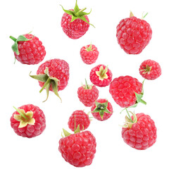 Fresh raspberries swirling in air against white background