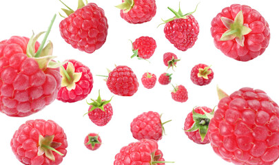 Fresh raspberries swirling in air against white background