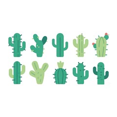 Vector cactus design icons set 