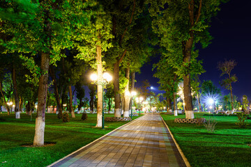 Obraz premium A paved pathway in a park at night with illuminated trees and lampposts, creating a serene urban landscape.