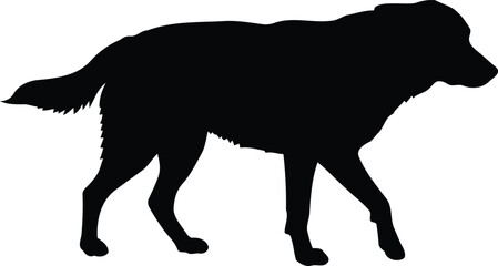 Black Dog Silhouette - Walking Canine Illustration for Pet Design Projects