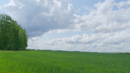 Lush Green Fields Awaiting Under a Dramatic and Stunningly Beautiful Sky Above Us
