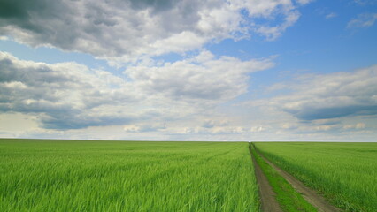Time lapse. Vast and expansive green fields stretching out under the beautiful cloudy skies above