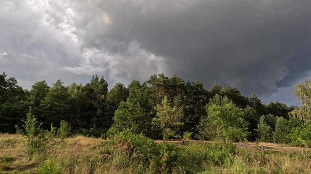 timelapse of the sky against the background of the forest