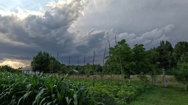 Timelapse of the sky against the background of a forest, huts and cornices