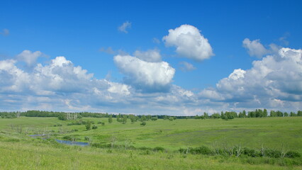 Fototapeta premium A Beautiful, Serene Green Landscape Beneath a Vast Blue Sky with Fluffy Clouds Floating