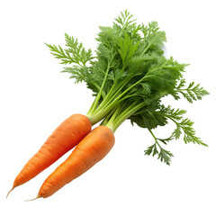 Carrot with Green Leaves