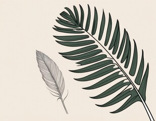 Fototapeta premium Light bird feather silhouette icon set isolated on white background, vector drawing