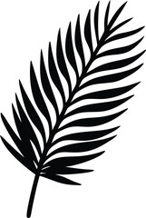 Fototapeta premium a palm tree leaf silhouette vector