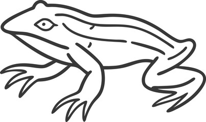 african clawed frog line arts with white backgroun
