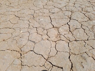 cracked earth texture