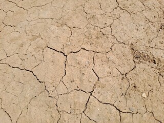 cracked earth texture