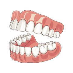 teeth and dental tools