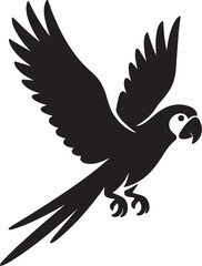 Macaw parrot vector art  পাখি