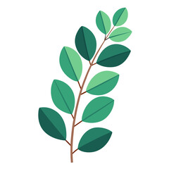 green leaves isolated on white