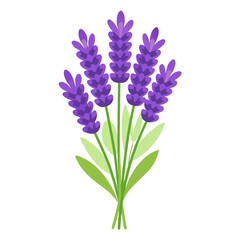 Obraz premium bouquet of flowers