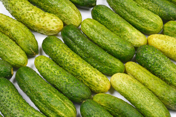 A close-up shot highlights the textured surface and variations of fresh pickling cucumbers, ready for preservation