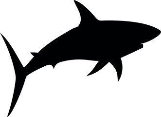 Fototapeta premium Aggressive shark illustration with sharp teeth and fins