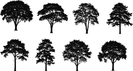 Set of detailed tree silhouettes, various shapes and foliage styles, ideal for landscape design, architectural use, and nature scenes.