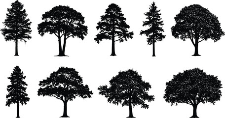Silhouette Collection of Deciduous and Coniferous Trees, Nature Graphic Elements, Vector Illustration for Landscape Design, Eco, Forest, Outdoors
