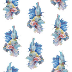 Seamless pattern with fighting siamese aquarium fish betta splendens textured painted in watercolor on neutral white hand painted background
