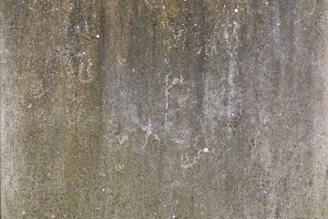 Texture of a concrete wall. Green, dark, light places. Abstraction.