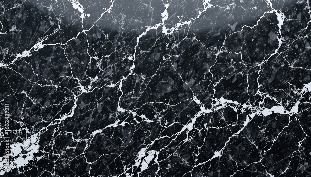 Poster elegant abstract design of a dark surface with intricate white veins running throughout the composit