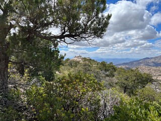 Tucson