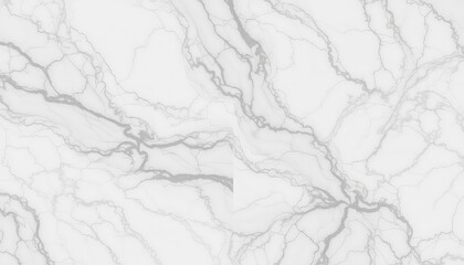 White stone surface with dynamic gray veining, creating a naturally beautiful pattern for upscale design applications